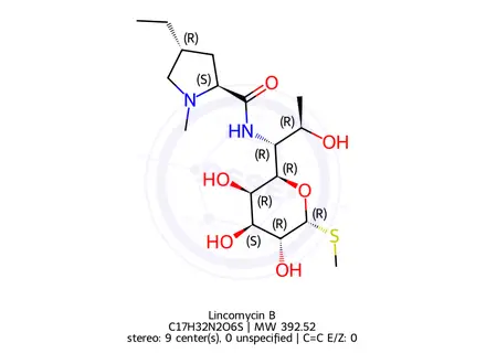 Chemical structure of Lincomycin B