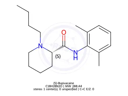 Chemical structure of (S)-Bupivacaine