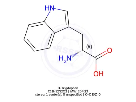 Chemical structure of D-Tryptophan