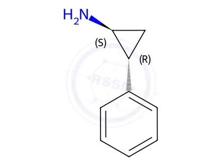 Chemical structure of (+)-Tranylcypromine Hydrochloride
