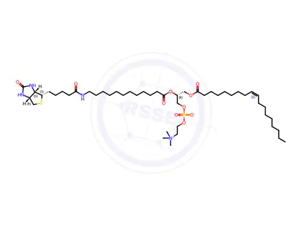 Chemical structure of 18:1-12:0 Biotin PC