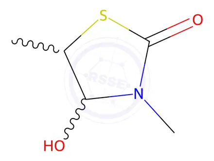 Chemical structure of 2-Thiazolidinone, 4-hydroxy-3,5-dimethyl-(9CI)