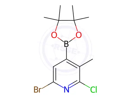 Chemical structure of 6-Bromo-2-chloro-3-methyl-4-(4,4,5,5-tetramethyl-1,3,2-dioxaborolan-2-yl)pyridine