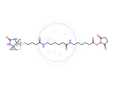 Chemical structure of Succinimidyl-6-[6-(biotinamido)caproyl]caproylate