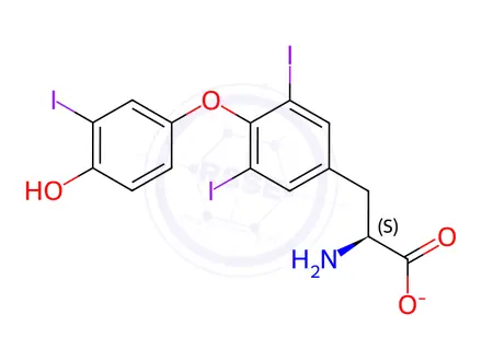 Chemical structure of Sodium (S)-2-amino-3-(4-(4-hydroxy-3-iodophenoxy)-3,5-diiodophenyl)propanoate hydrate
