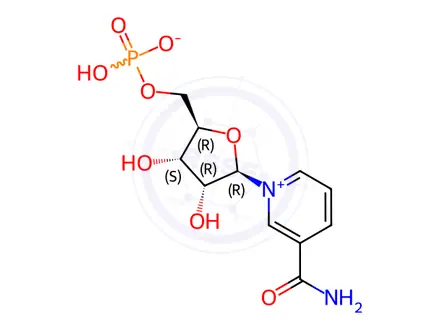 Chemical structure of β-Nicotinamide Mononucleotide