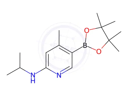 Chemical structure of N-isopropyl-4-Methyl-5-(4,4,5,5-tetraMethyl-1,3,2-dioxaborolan-2-yl)pyridin-2-aMine
