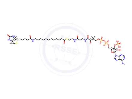 Chemical structure of 12:0 Biotinyl Coenzyme A