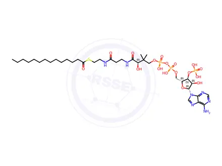 Chemical structure of Denaverine Impurity 55