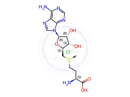 Chemical structure of S-(5'-Adenosyl)-L-methionine chloride