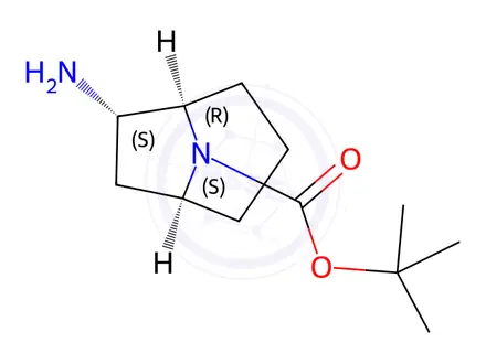 Chemical structure of Tert-butyl (1R,5S,6S)-6-amino-8-azabicyclo[3.2.1]Octane-8-carboxylate