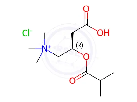 Chemical structure of Isobutyryl L-Carnitine Chloride