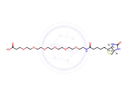 Chemical structure of Biotin-peg6-acid