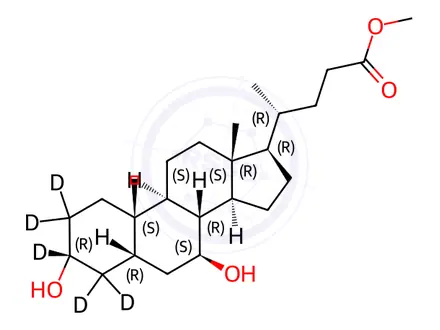 Chemical structure of Ursodeoxycholic Acid-d5 Methyl Ester