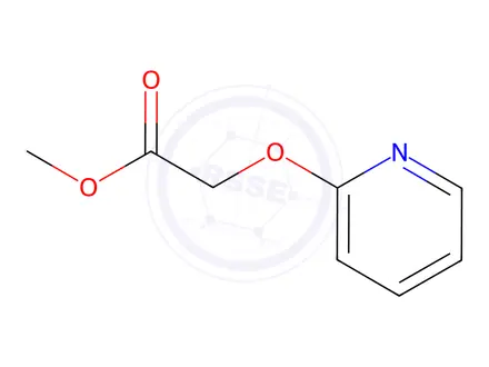 Chemical structure of Acetic acid, (2-pyridinyloxy)-, methyl ester (9CI)