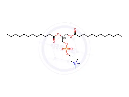 Chemical structure of 12:0 PC (DLPC)