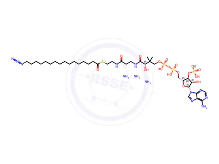 Chemical structure of 16:0 Azido Coenzyme A