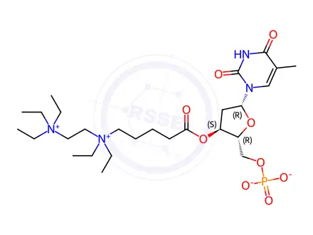 Chemical structure of 5'-Thymidylic acid, 3'-[5-[diethyl[2-(triethylammonio)ethyl]ammonio]pentanoate], bis(inner salt)