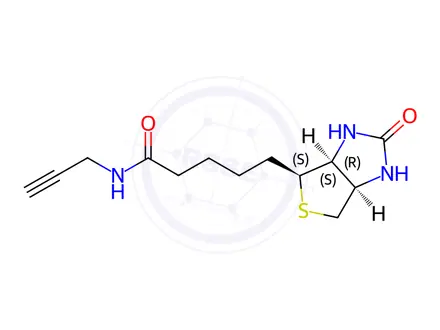 Chemical structure of N-Propargylbiotinamide