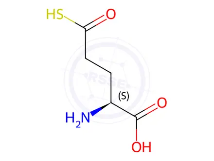 Chemical structure of Butanoic acid, 2-amino-4-(thiocarboxy)-, (S)-(9CI)