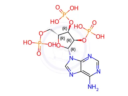 Chemical structure of Adenosine Impurity 4