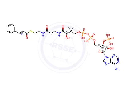 Chemical structure of Coenzyme A Impurity 29