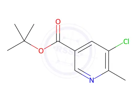 Chemical structure of tert-Butyl 5-chloro-6-methylnicotinate