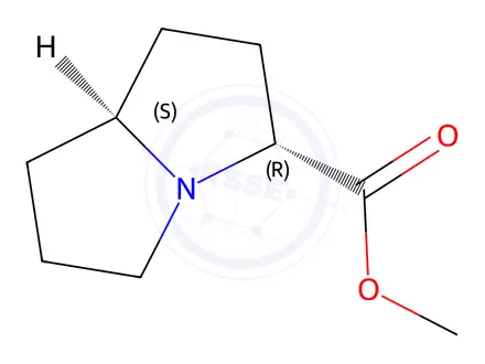 Chemical structure of (3R,7AS)-methyl hexahydro-1H-pyrrolizine-3-carboxylate