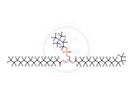 Chemical structure of 16:0 PC-d75