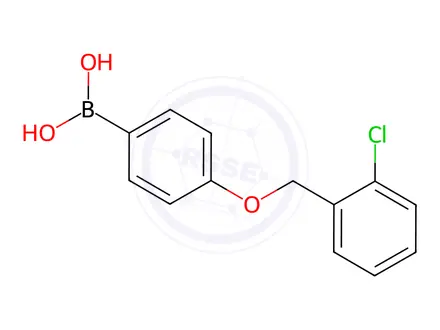 Chemical structure of (4-((2-Chlorobenzyl)oxy)phenyl)boronic acid
