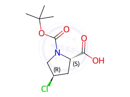 Chemical structure of (2S,4R)-4-Chloro-pyrrolidine-1,2-dicarboxylic acid 1-tert-butyl ester
