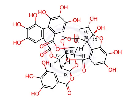 Chemical structure of Phyllanthusiin C