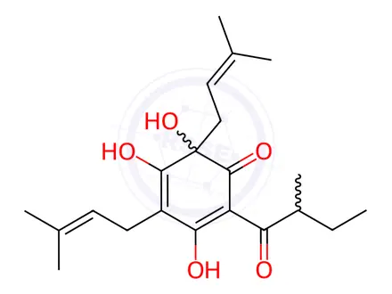 Chemical structure of Phloroglucinol