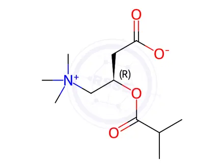 Chemical structure of Isobutyryl-L-carnitine