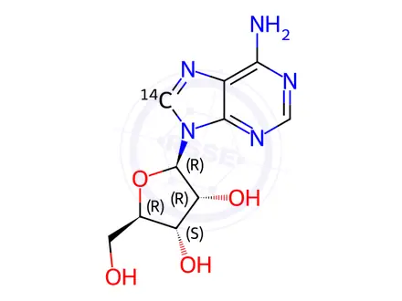Chemical structure of ADENOSINE, [8-14C]