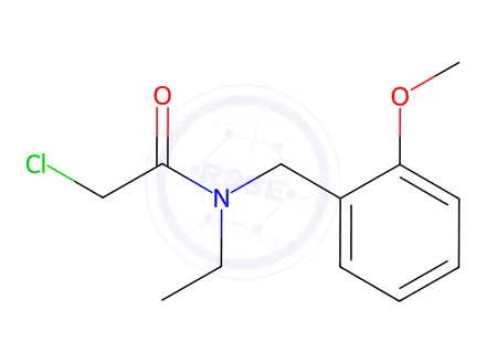 Chemical structure of 2-Chloro-N-ethyl-N-(2-methoxybenzyl)acetamide