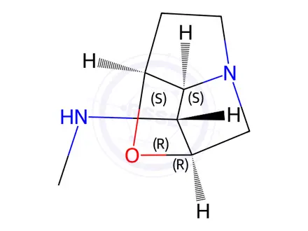 Chemical structure of loline