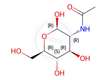 Chemical structure of N-Acetyl-D-glucosamine