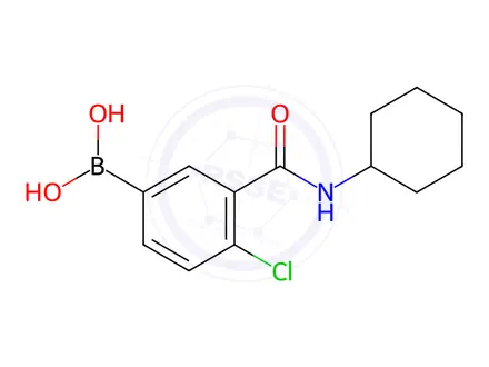 Chemical structure of (4-Chloro-3-(cyclohexylcarbamoyl)phenyl)boronic acid