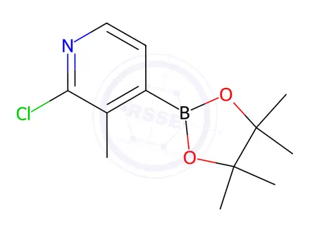 Chemical structure of 2-Chloro-3-methyl-4-(4,4,5,5-tetramethyl-1,3,2-dioxaborolan-2-yl)pyridine