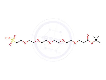 Chemical structure of 20,20-Dimethyl-18-oxo-3,6,9,12,15,19-hexaoxahenicosane-1-sulfonic acid
