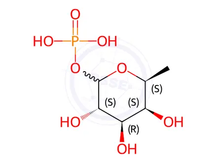 Chemical structure of Sodium Glucuronic Acid Impurity 55