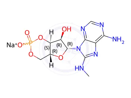 Chemical structure of 8-MA-CAMP SODIUM SALT