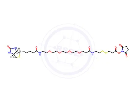 Chemical structure of Biotin-PEG4-S-S-NHS