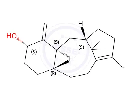Chemical structure of Paclitaxel Impurity 123 (taxadien-5α-ol)