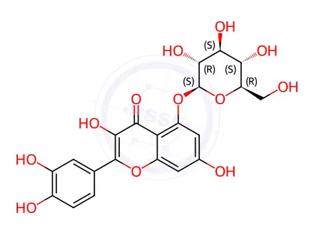 Chemical structure of Quercetin 5-0-β-D-glucoside