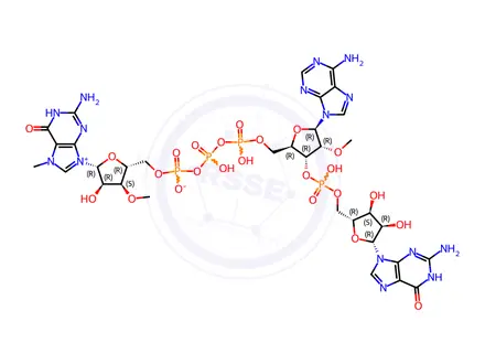 Chemical structure of Guanosine, 7-methylguanylyloxyphosphinicooxyphosphinico-(5'→5')-2'-O-methyladenylyl-(3'→5')-, inner salt