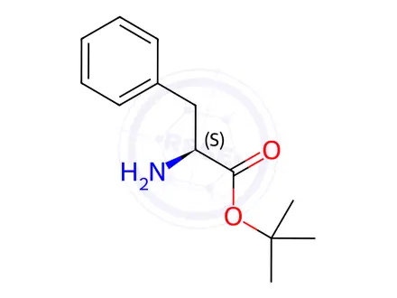 Chemical structure of L-Phenylalanine tert-Butyl Ester Hydrochloride