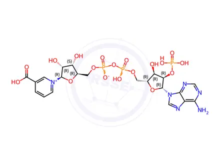 Chemical structure of Coenzyme A Impurity 15