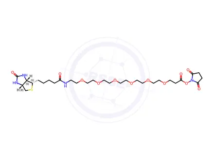 Chemical structure of Biotin-PEG6-NHS ester